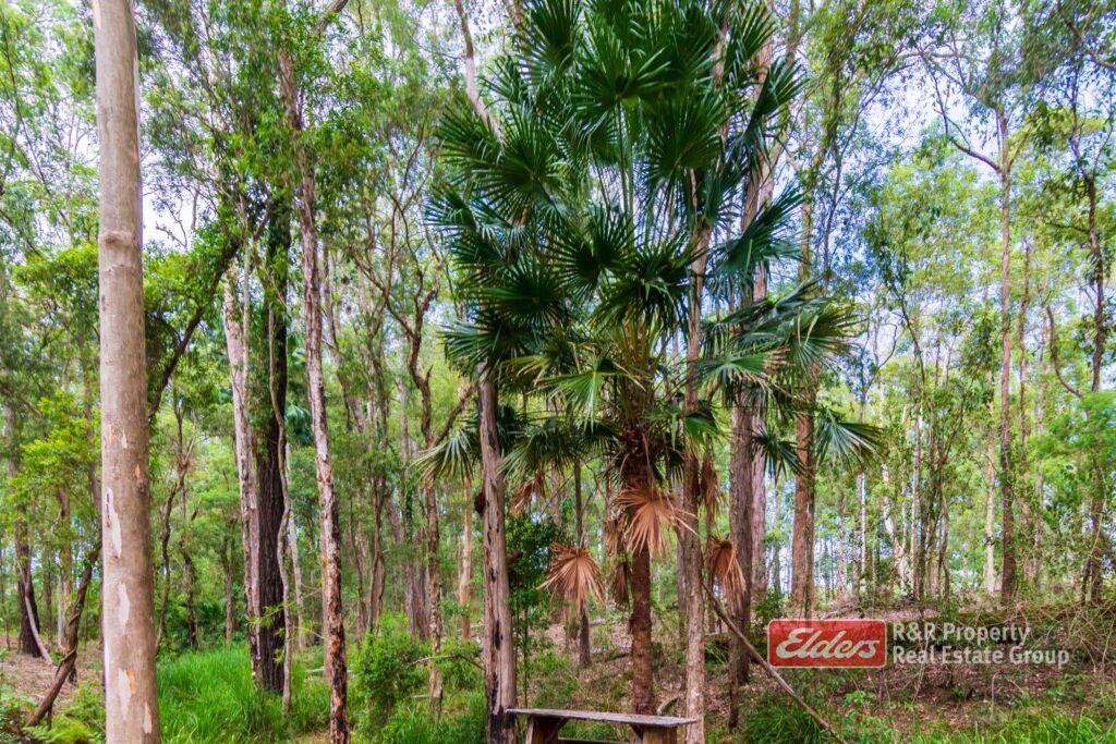 647 Markwell Back Road, MARKWELL, NSW 2423 AUS