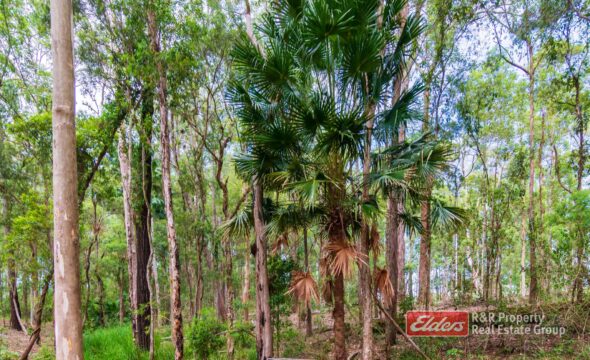 647 Markwell Back Road, MARKWELL, NSW 2423 AUS