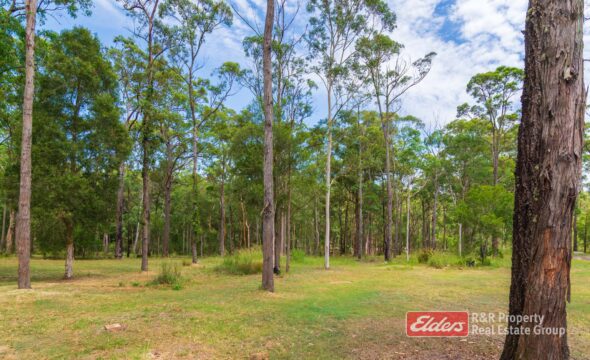 647 Markwell Back Road, MARKWELL, NSW 2423 AUS
