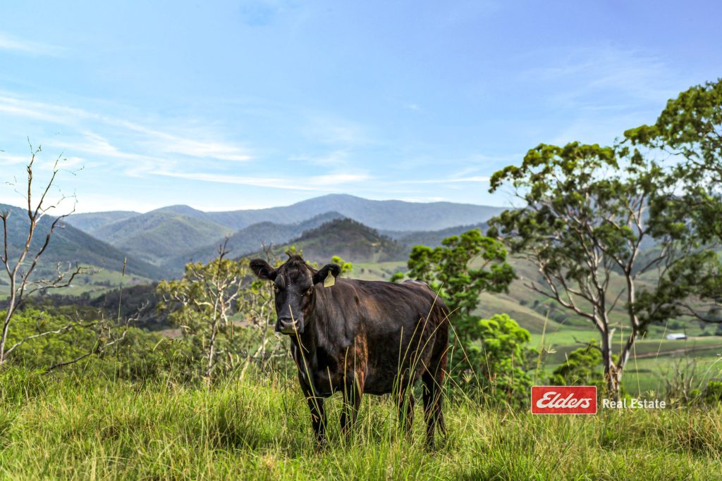 3756a Thunderbolts Way, BRETTI, NSW 2422 AUS