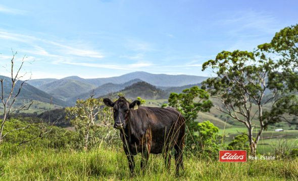 3756a Thunderbolts Way, Bretti via, GLOUCESTER, NSW 2422 AUS