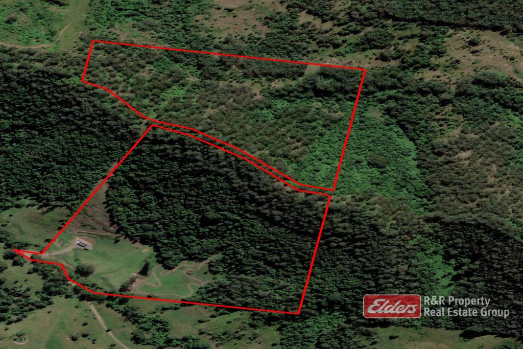 444 Mimi Creek Road, KRAMBACH, NSW 2429 AUS