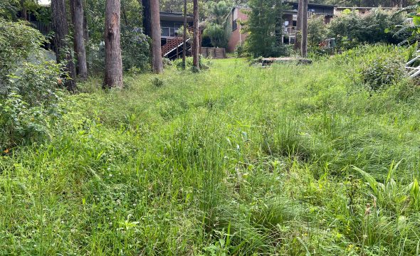 15 20 The Lakes Way, TARBUCK BAY, NSW 2428 AUS