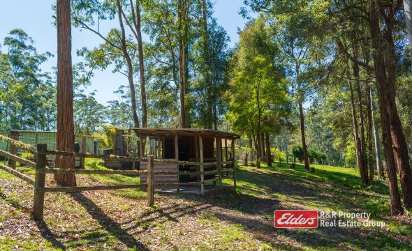 646 Newmans Road, WOOTTON, NSW 2423 AUS