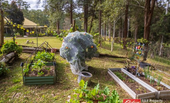 646 Newmans Road, WOOTTON, NSW 2423 AUS