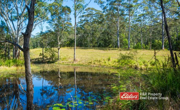 646 Newmans Road, WOOTTON, NSW 2423 AUS