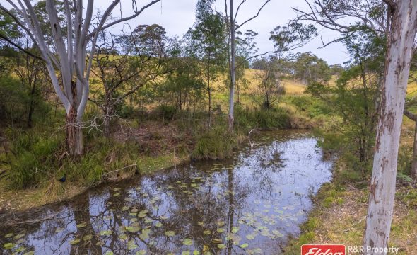646 Newmans Road, WOOTTON, NSW 2423 AUS