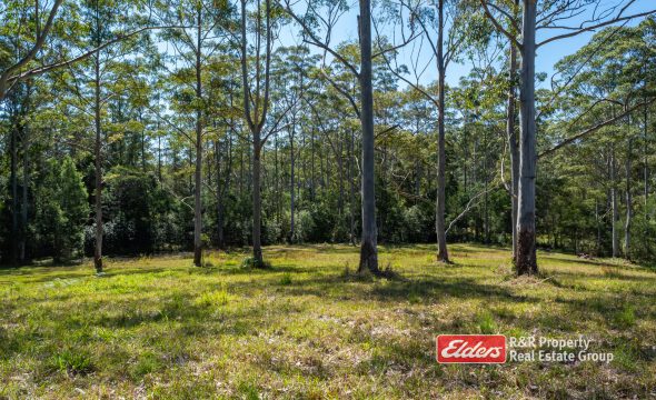 646 Newmans Road, WOOTTON, NSW 2423 AUS