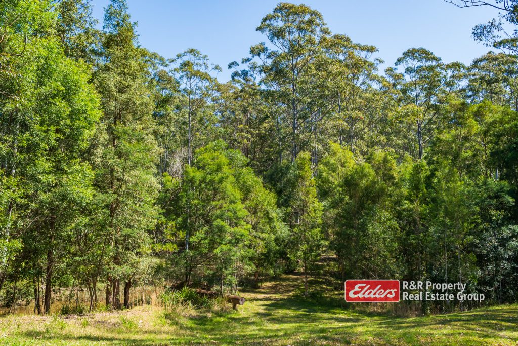 646 Newmans Road, WOOTTON, NSW 2423 AUS