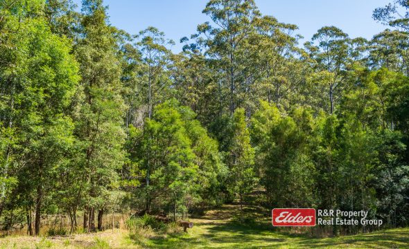 646 Newmans Road, WOOTTON, NSW 2423 AUS