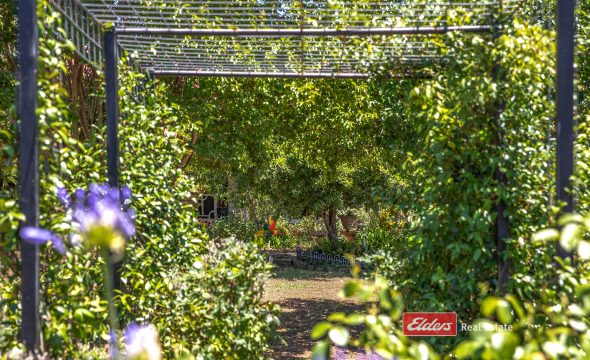 3783 Clarence Town Road, BROOKFIELD, NSW 2420 AUS