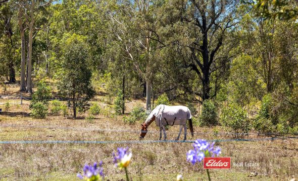 3783 Clarence Town Road, BROOKFIELD, NSW 2420 AUS