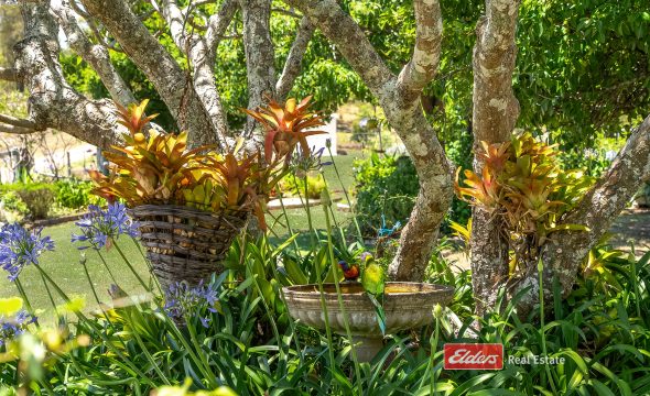 3783 Clarence Town Road, BROOKFIELD, NSW 2420 AUS