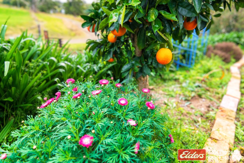 299 Sawpit Lane, WALLANBAH, NSW 2422 AUS