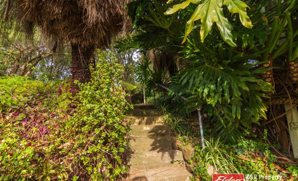 299 Sawpit Lane, WALLANBAH, NSW 2422 AUS