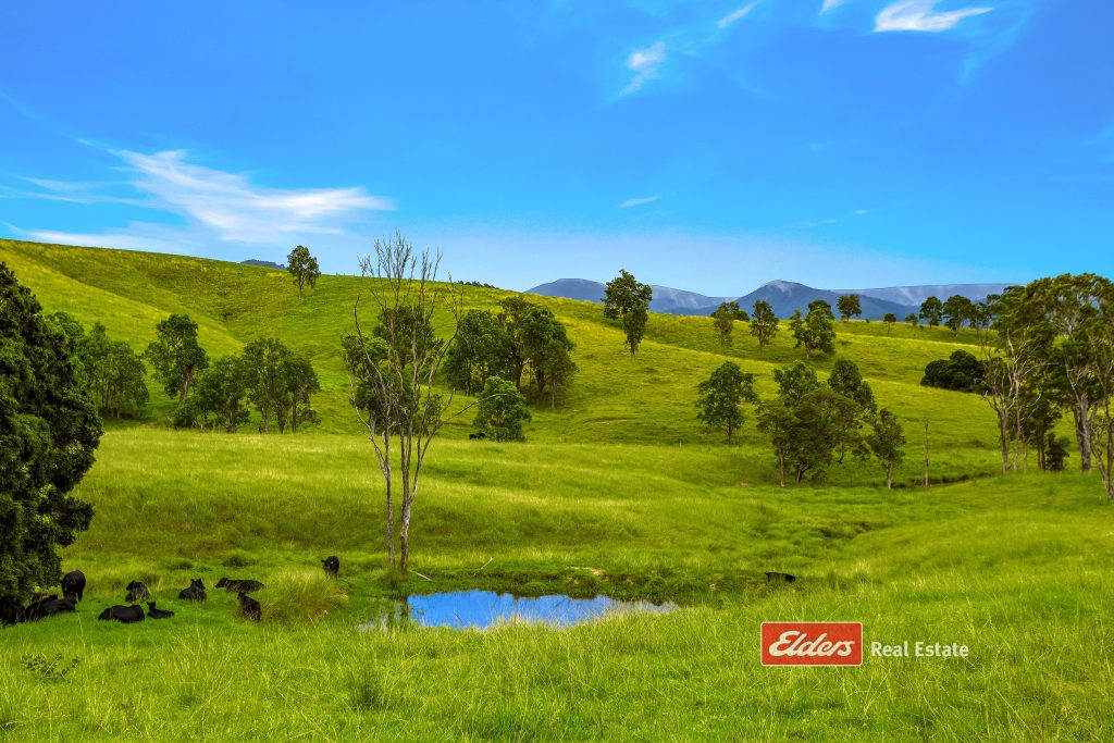 2121 Salisbury Road, Salisbury via, DUNGOG, NSW 2420 AUS