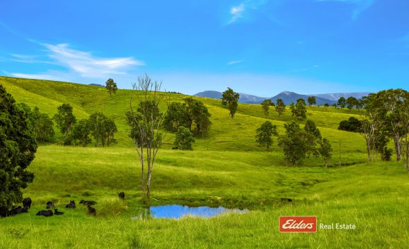 2121 Salisbury Road, Salisbury via, DUNGOG, NSW 2420 AUS