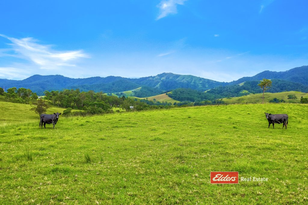 2121 Salisbury Road, Salisbury via, DUNGOG, NSW 2420 AUS