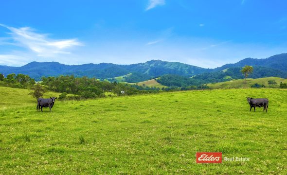 2121 Salisbury Road, Salisbury via, DUNGOG, NSW 2420 AUS