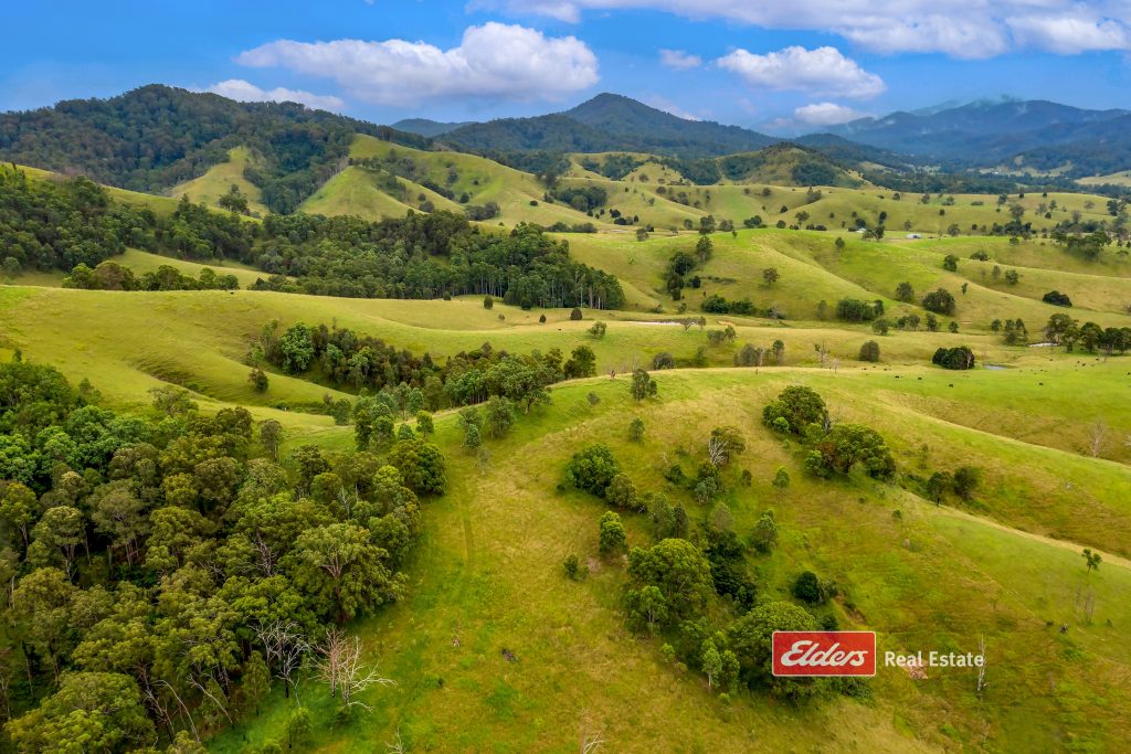 2121 Salisbury Road, Salisbury via, DUNGOG, NSW 2420 AUS