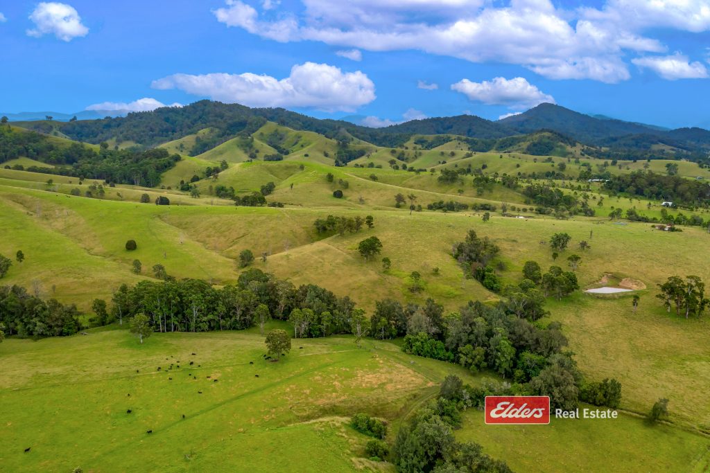 2121 Salisbury Road, Salisbury via, DUNGOG, NSW 2420 AUS