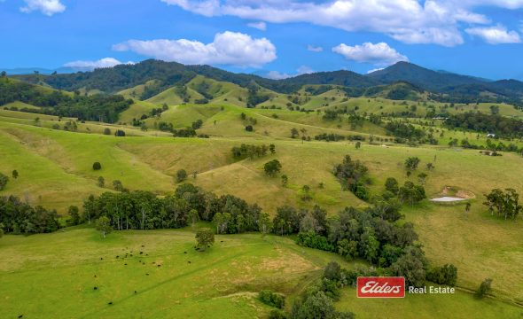 2121 Salisbury Road, Salisbury via, DUNGOG, NSW 2420 AUS