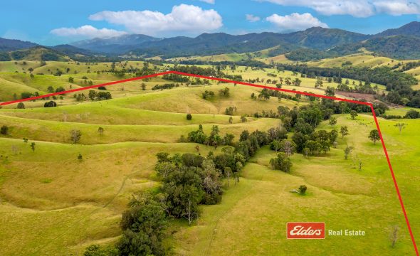 2121 Salisbury Road, Salisbury via, DUNGOG, NSW 2420 AUS