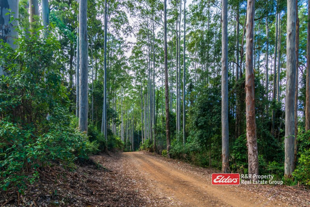 Off Thunderbolts Way, MARES RUN via, GLOUCESTER, NSW 2422 AUS