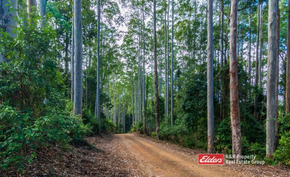 Off Thunderbolts Way, MARES RUN via, GLOUCESTER, NSW 2422 AUS