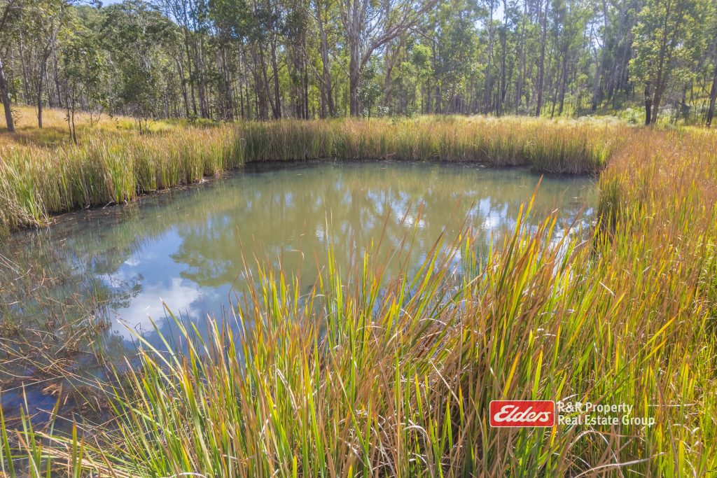 Off Thunderbolts Way, MARES RUN via, GLOUCESTER, NSW 2422 AUS