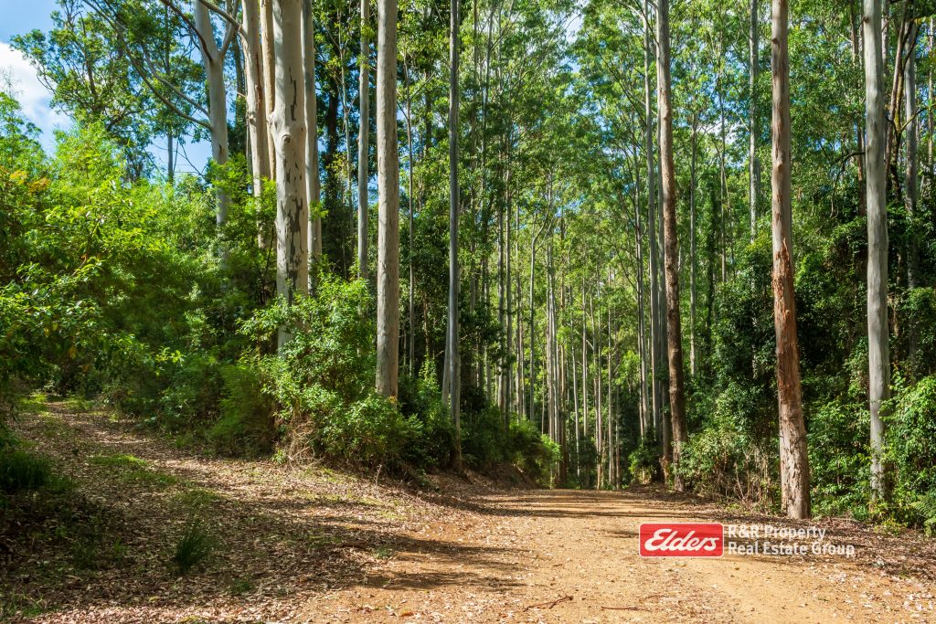 Off Thunderbolts Way, MARES RUN via, GLOUCESTER, NSW 2422 AUS