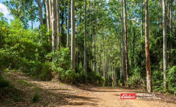 Off Thunderbolts Way, MARES RUN via, GLOUCESTER, NSW 2422 AUS