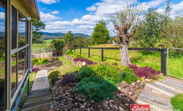 1136 Markwell Road, MARKWELL, NSW 2423 AUS