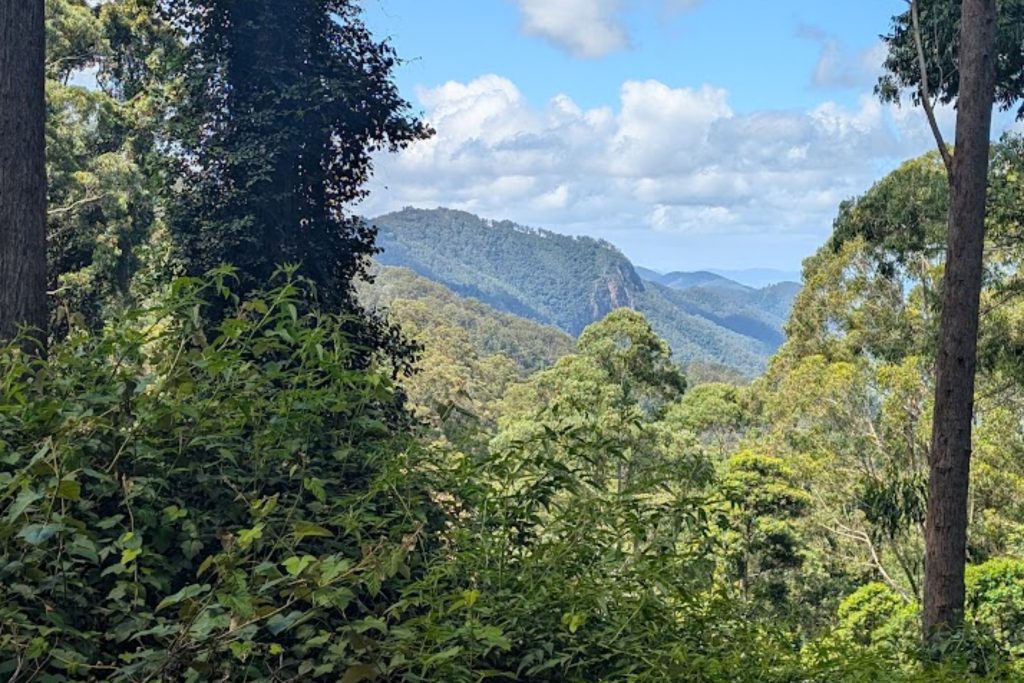 59 Curricabark Road, Dewitt via, GLOUCESTER, NSW 2422 AUS
