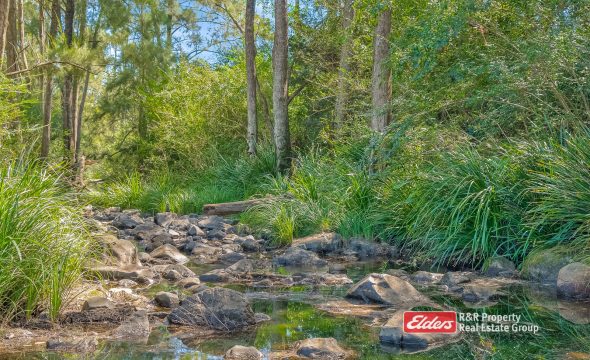 390 Belbora Creek Road, BELBORA, NSW 2422 AUS
