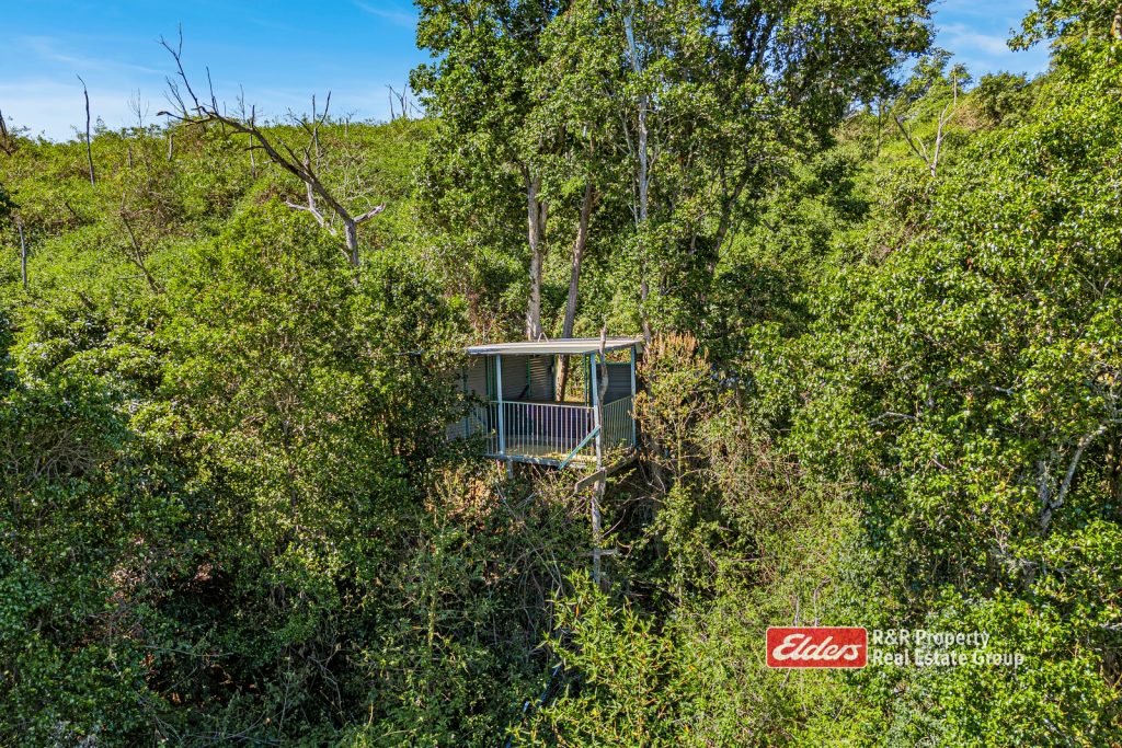 390 Belbora Creek Road, BELBORA, NSW 2422 AUS
