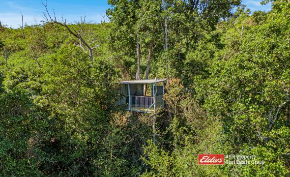 390 Belbora Creek Road, BELBORA, NSW 2422 AUS