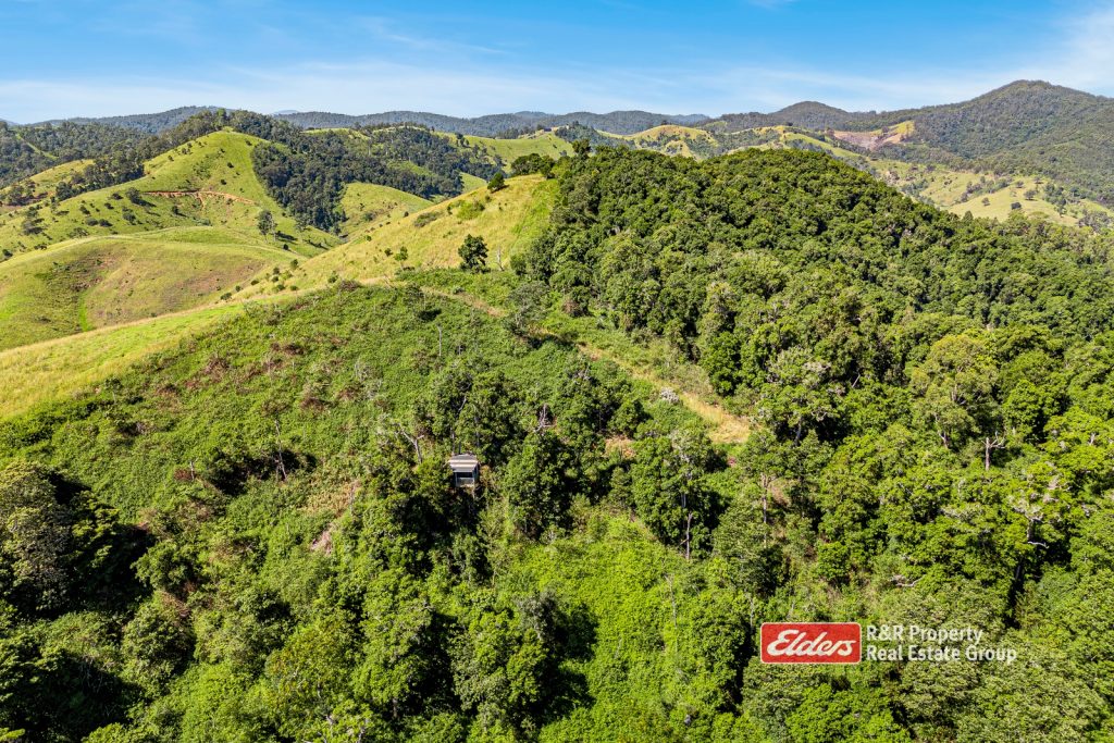 390 Belbora Creek Road, BELBORA, NSW 2422 AUS