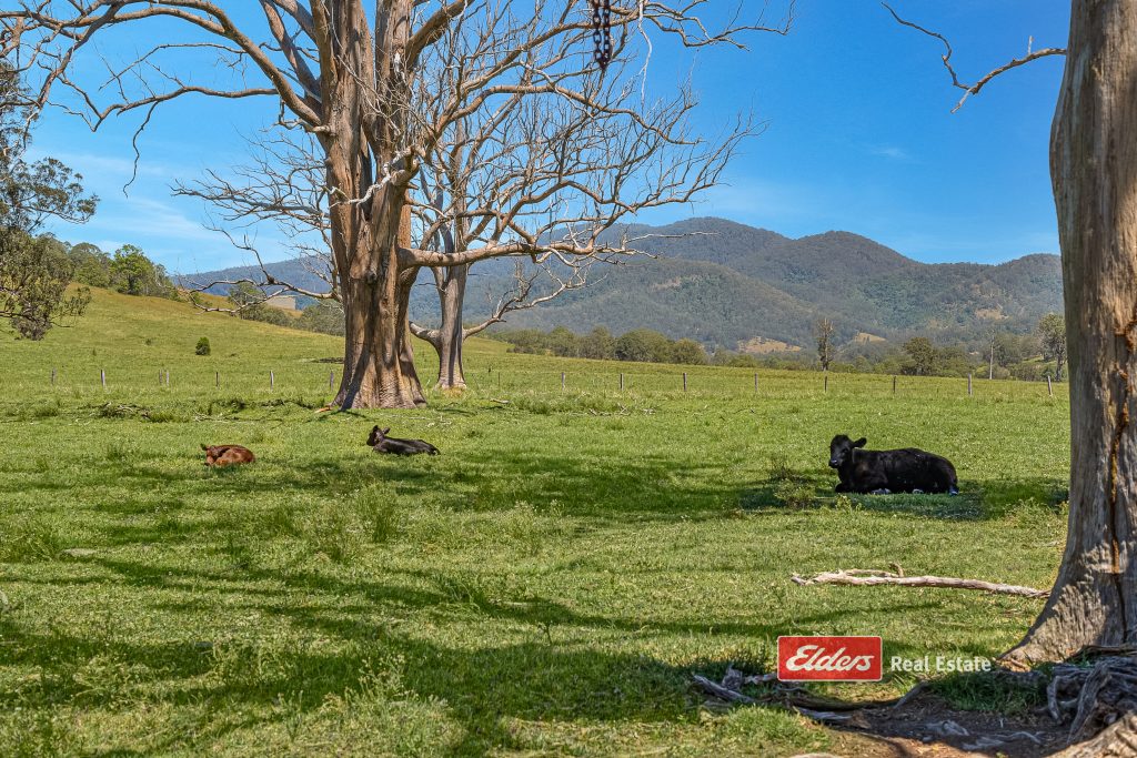879 Bowman Farm Road, Bowman Farm via, GLOUCESTER, NSW 2422 AUS