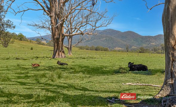 879 Bowman Farm Road, Bowman Farm via, GLOUCESTER, NSW 2422 AUS