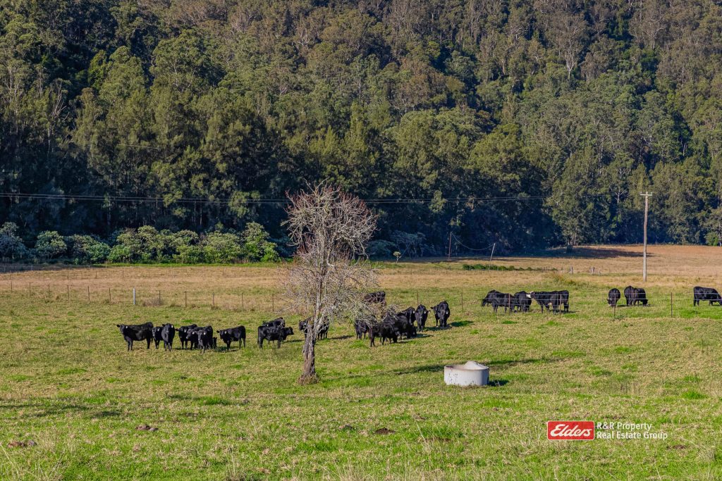 1561 Bowman River Road, Bowman via, GLOUCESTER, NSW 2422 AUS