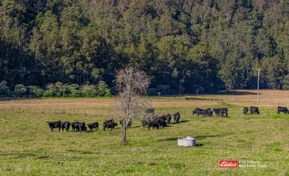 1561 Bowman River Road, Bowman via, GLOUCESTER, NSW 2422 AUS