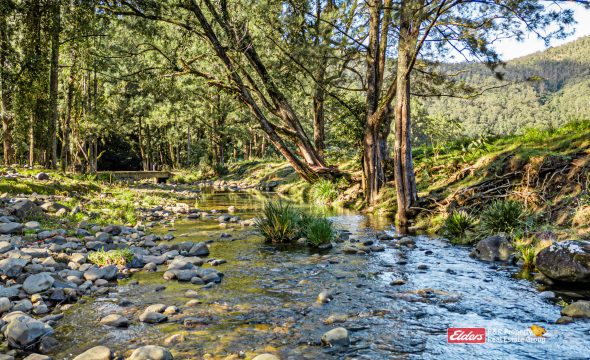 1561 Bowman River Road, Bowman via, GLOUCESTER, NSW 2422 AUS