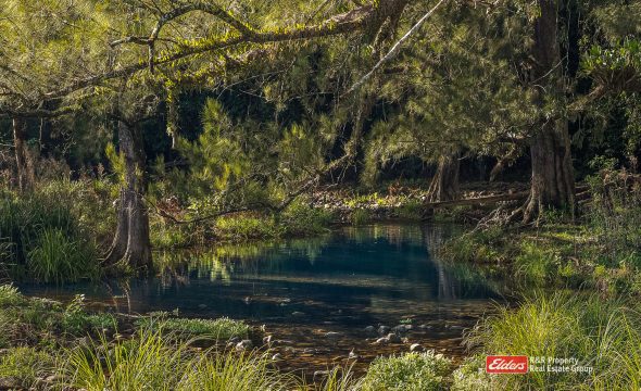 1561 Bowman River Road, Bowman via, GLOUCESTER, NSW 2422 AUS