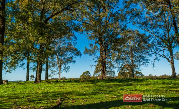 Lot 2/1811 Booral Road, GIRVAN, NSW 2425 AUS