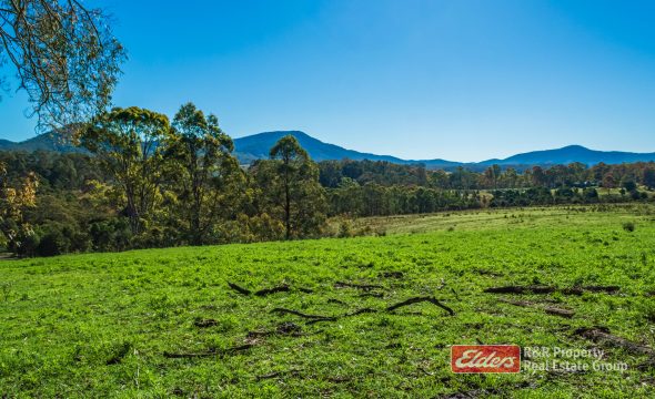 Lot 2/1811 Booral Road, GIRVAN, NSW 2425 AUS