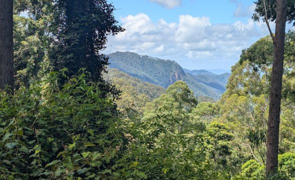 59 Curricabark Road, Dewitt via, GLOUCESTER, NSW 2422 AUS
