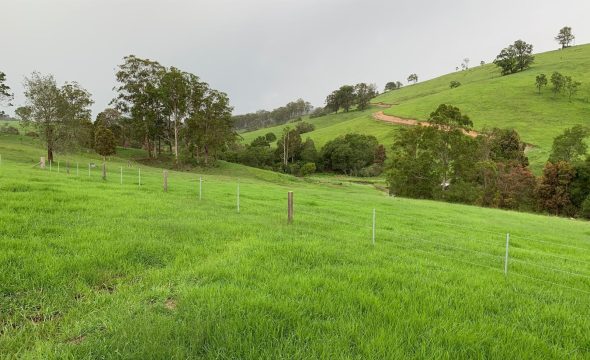GLOUCESTER, NSW 2422 AUS