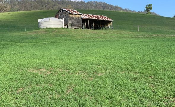 GLOUCESTER, NSW 2422 AUS