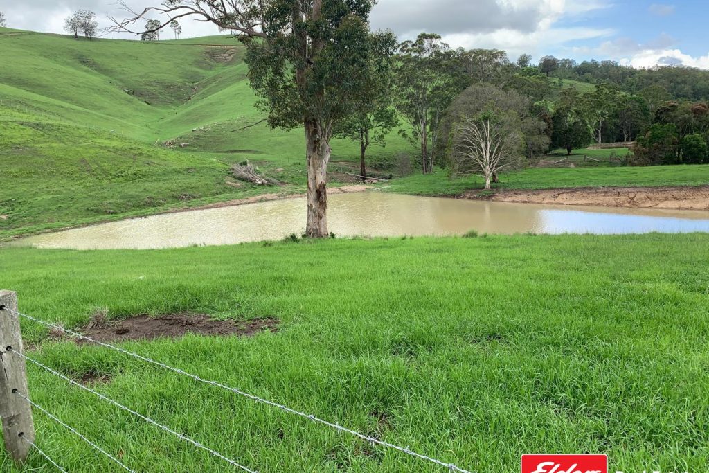 GLOUCESTER, NSW 2422 AUS